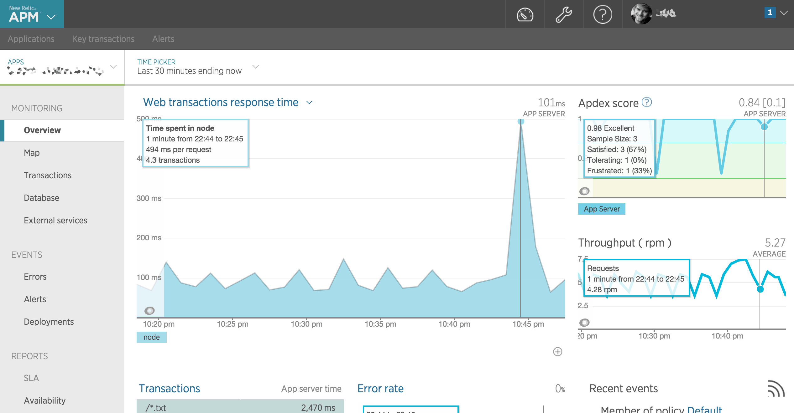 newrelic screenshot application stats